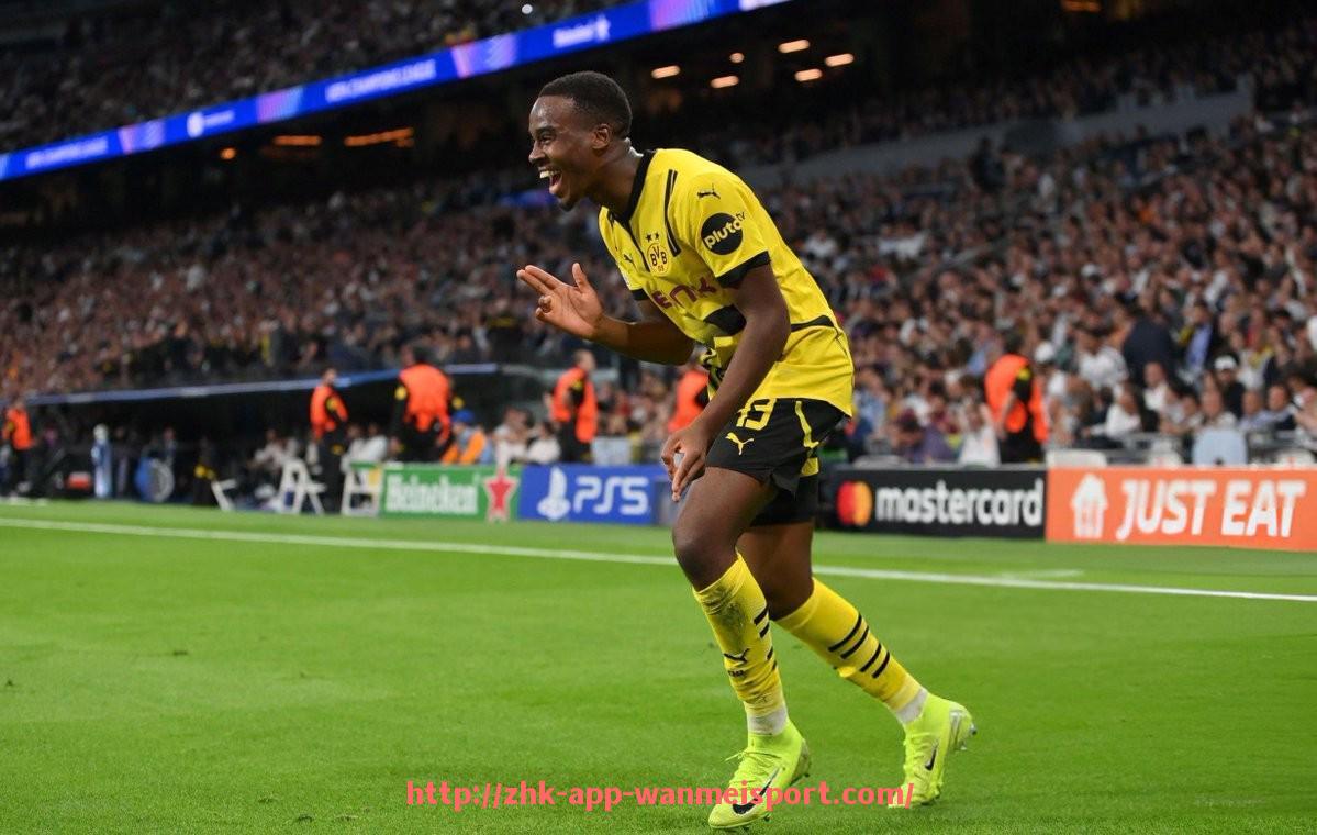 完美体育官方入口-一座德甲球队主场球场造价多少?投资与维护成本分析