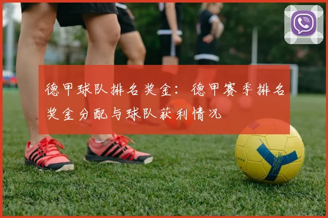 德甲球队排名奖金：德甲赛季排名奖金分配与球队获利情况