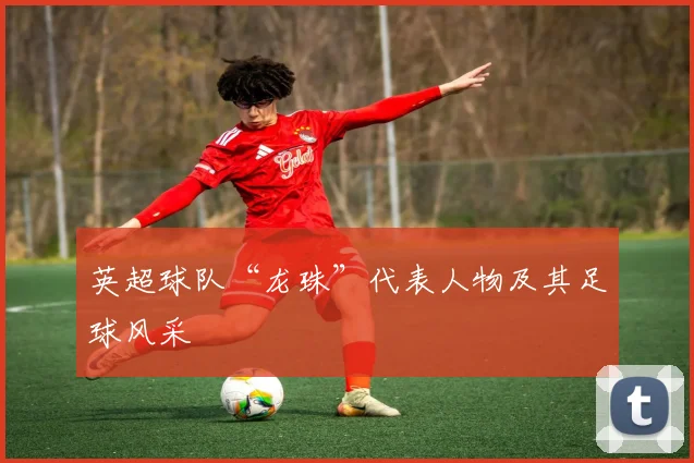 英超球队“龙珠”代表人物及其足球风采