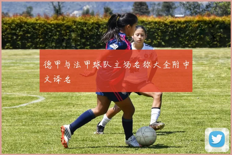 德甲与法甲球队主场名称大全附中文译名