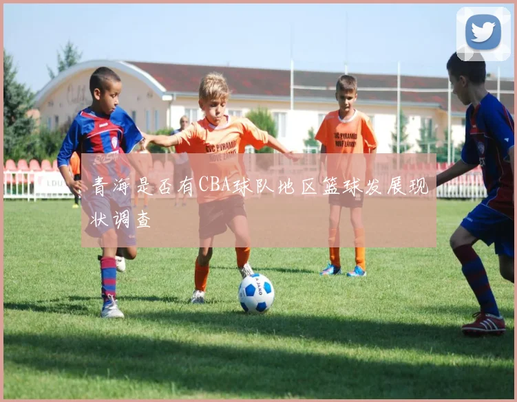 青海是否有CBA球队地区篮球发展现状调查