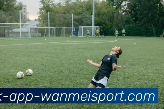 完美体育平台生态图